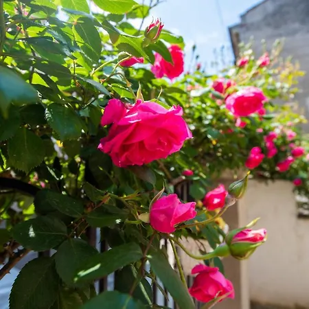 Art Elsor Guest house