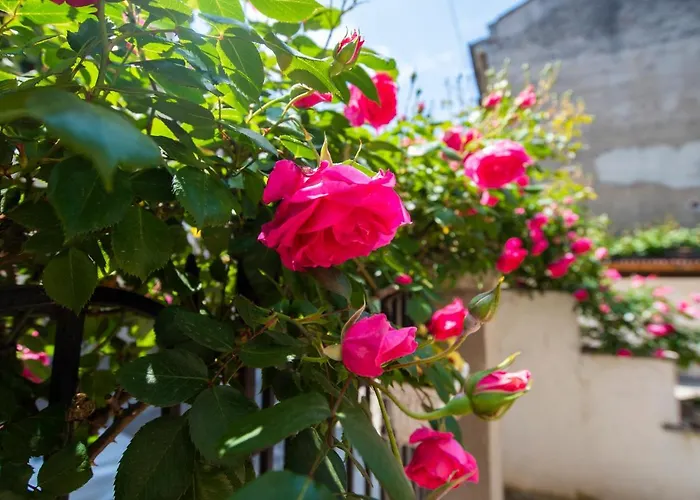 Art Elsor بيت ضيافة