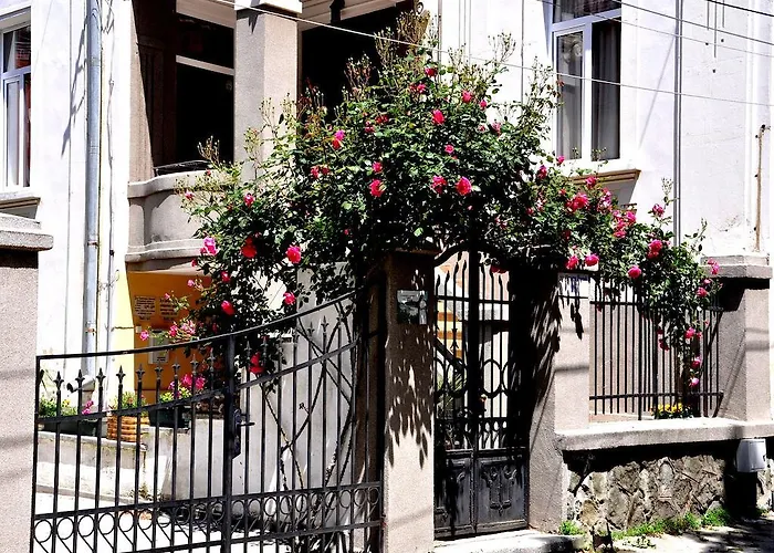 بيت ضيافة Art Elsor بورغاس